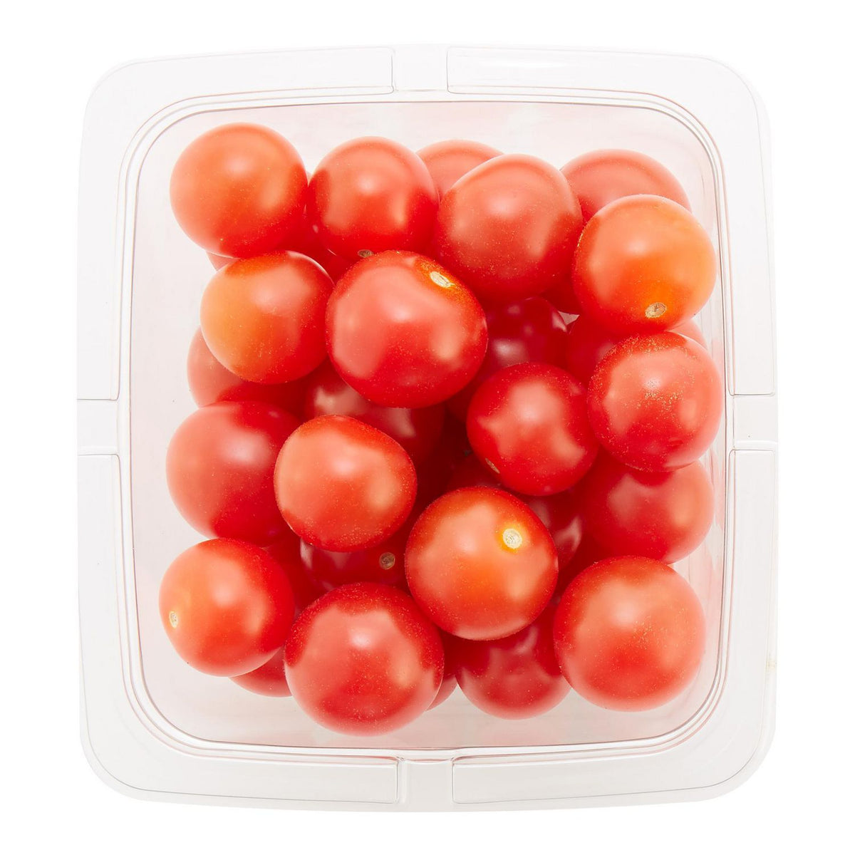 ミュージシャン tomato Netherland Cherry Tomato on Vine (200G) - Vegeponics