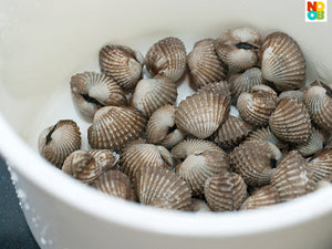 Cockles With Shell Kerang (+/- 1000g) (medium size)