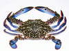 Flower Crab (+/- 1000kg)